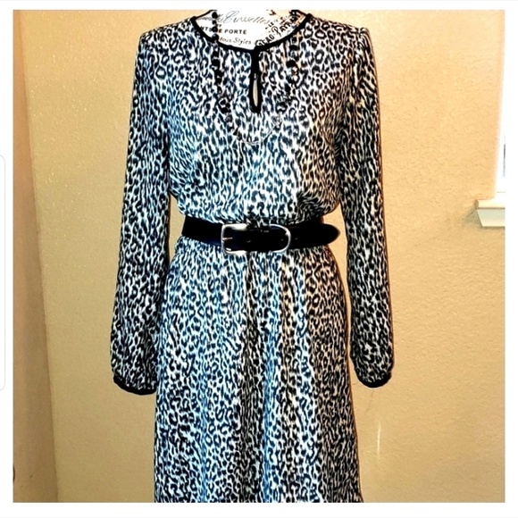 Zara Dresses & Skirts - ZARA BASIC Leopard Print 🐆 Dress